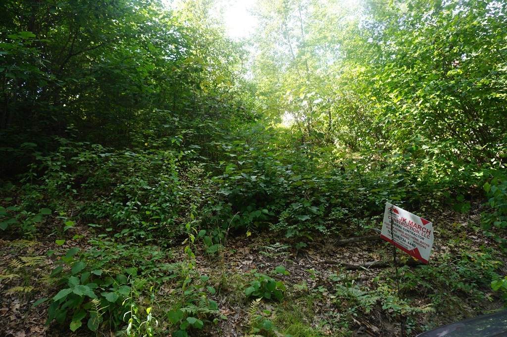 236 River St - Photo 1