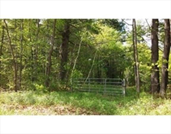 0 Rt. 23 (Otis Stage Road) - Photo 1