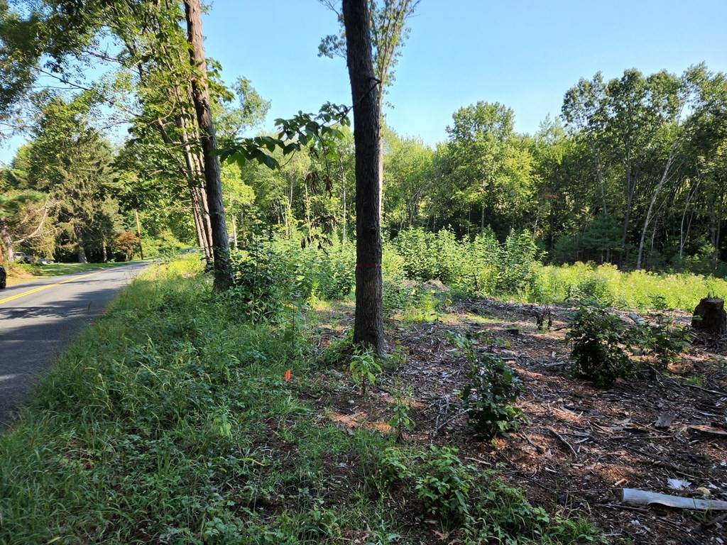 Lot 7 Cold Hill Rd - Photo 1