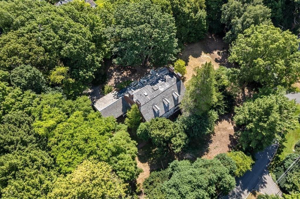 41 Codman Road - Photo 1
