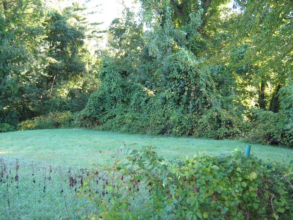 0 Gooseberry Road - Photo 1
