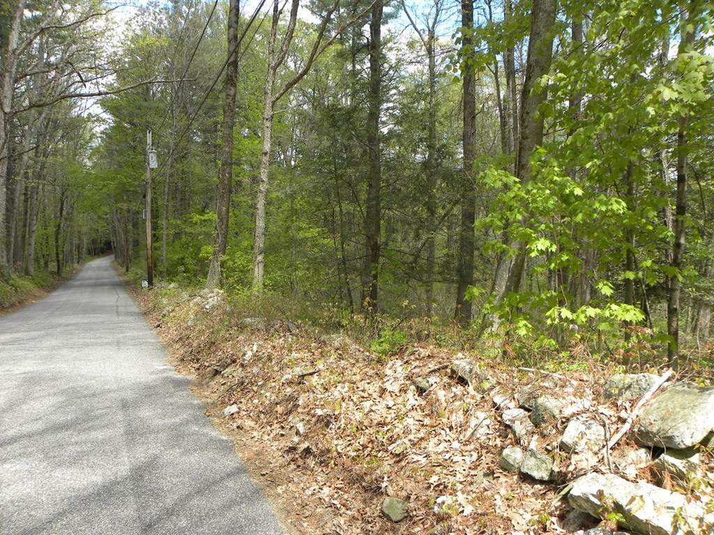 Lot 1 Denfield & Lot Guelphwood Rd - Photo 1