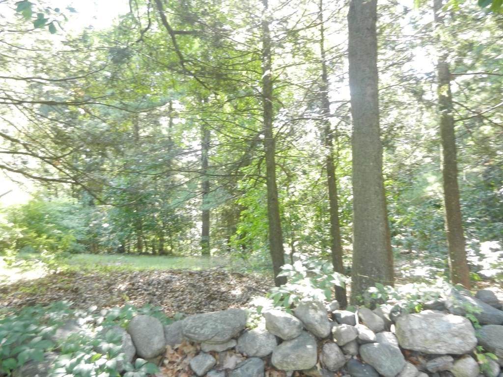 Lot 1 Concord Rd - Photo 1