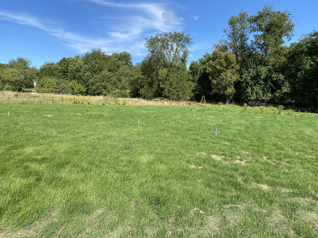 578 Sugar Road - Photo 1