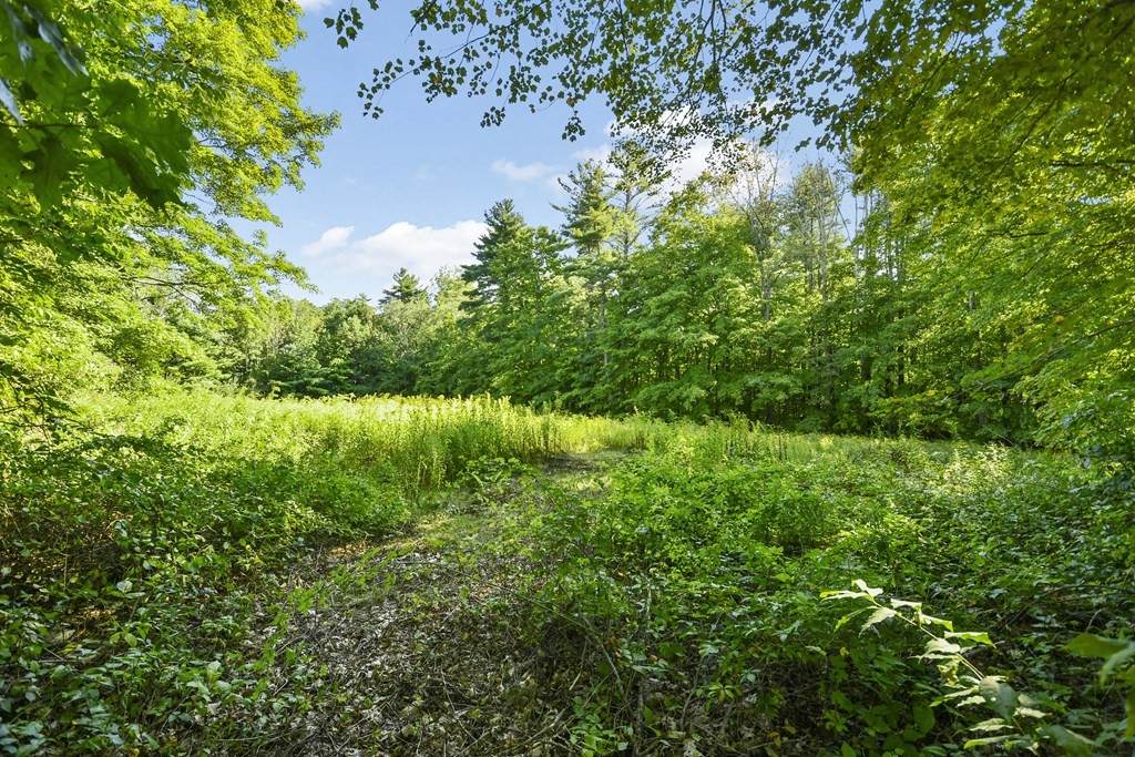 0 Champeaux Rd - Photo 1