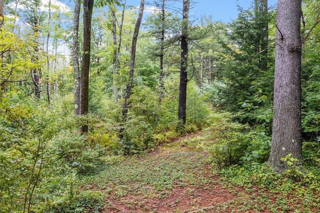 215 Queen Lake Rd. - Photo 1
