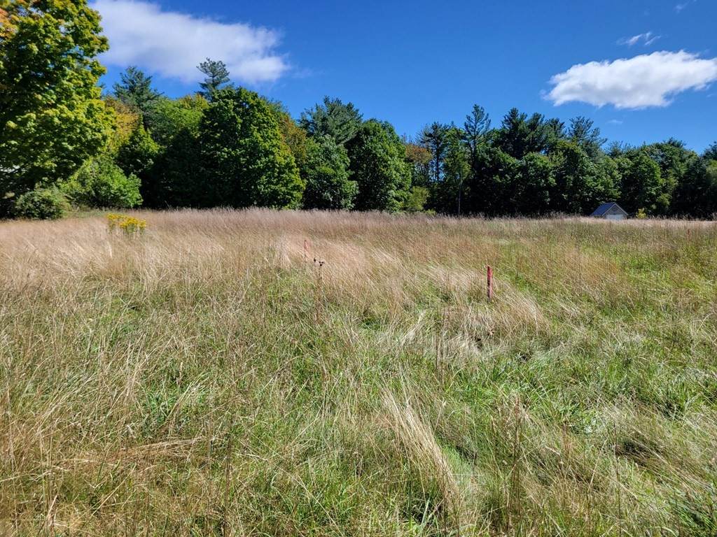 Lot 3 Saunders Street - Photo 1