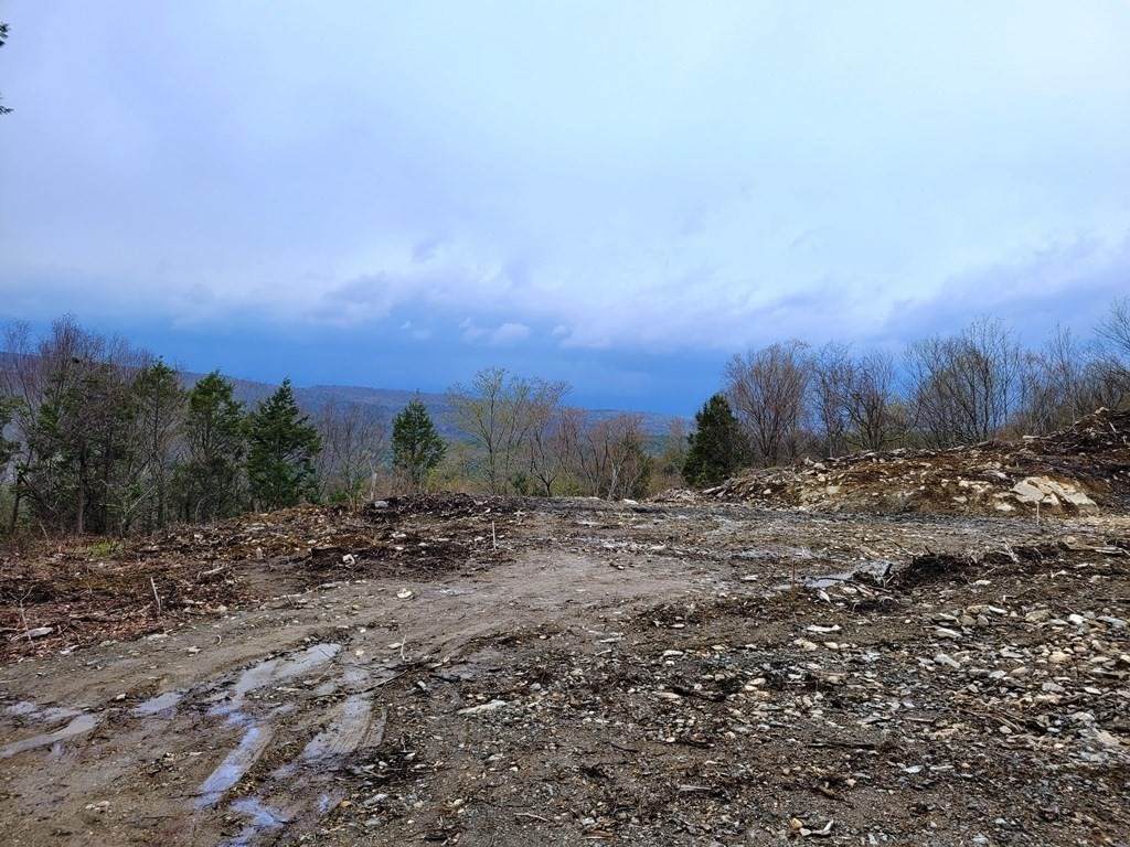 Lot 2 County Rd - Photo 1
