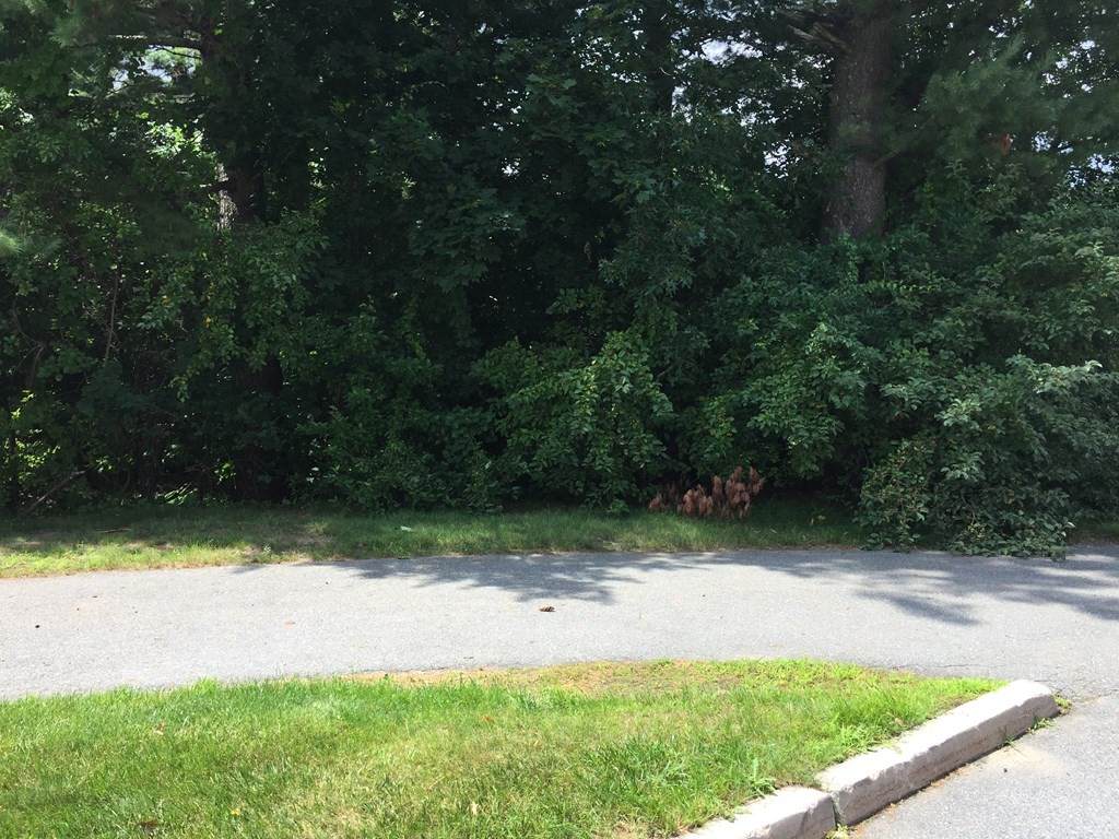 0 High St Ext - Photo 1