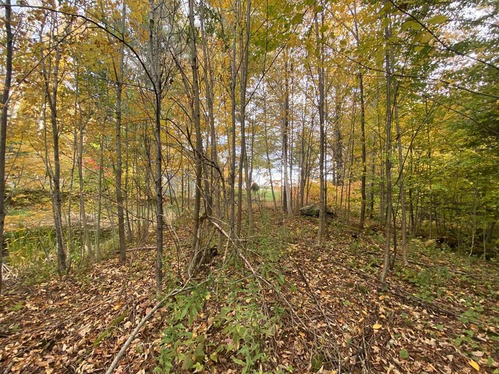 675 Route 8A - Photo 1