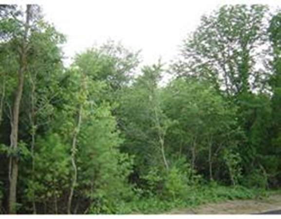 Plot 88 Washington St - Photo 1