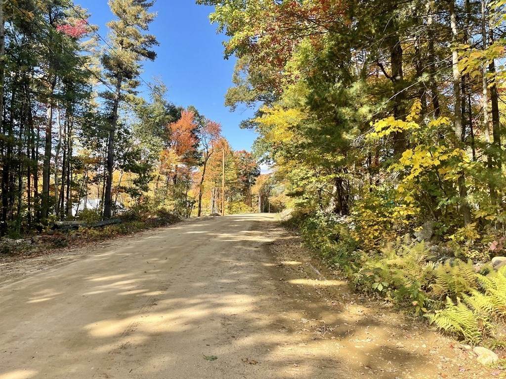 13W Old Country Rd - Photo 1