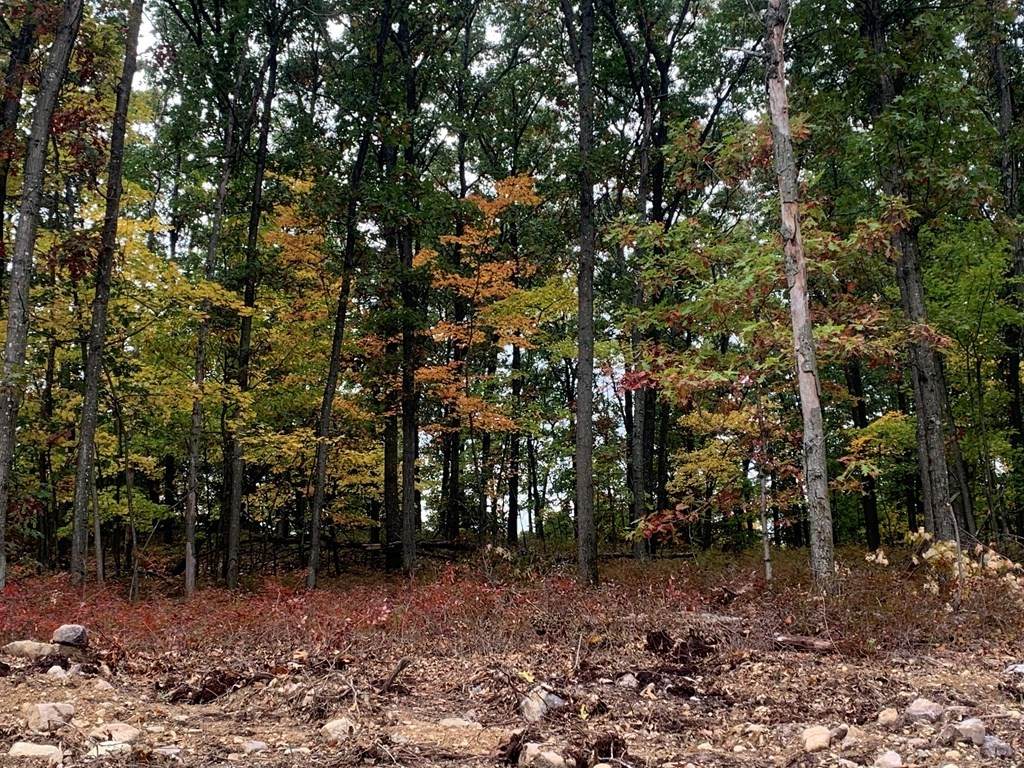 Lot 6 Sperry Lane - Photo 1