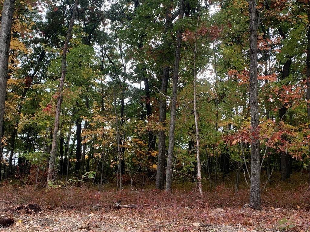 Lot 7 Sperry Lane - Photo 1
