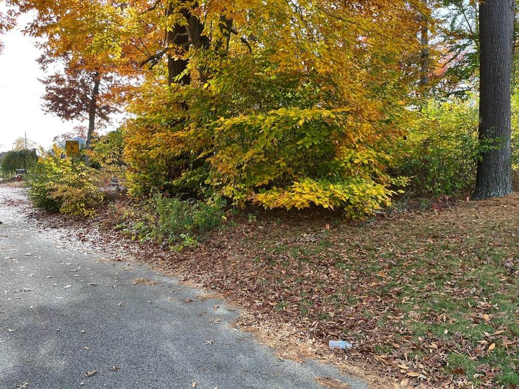 0 Hickory Road - Photo 1