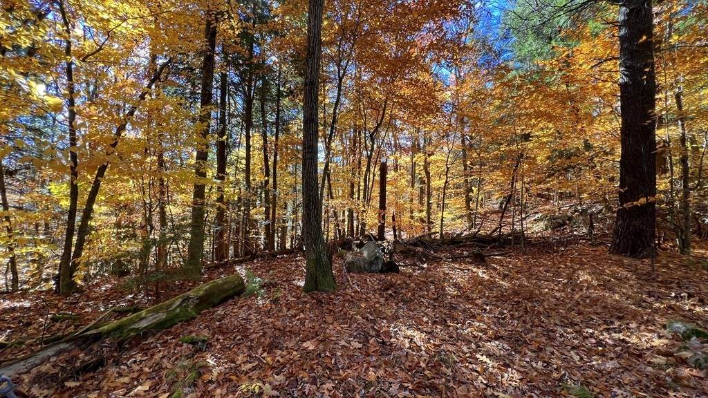 Lot 12 Rainbow Rd - Photo 1