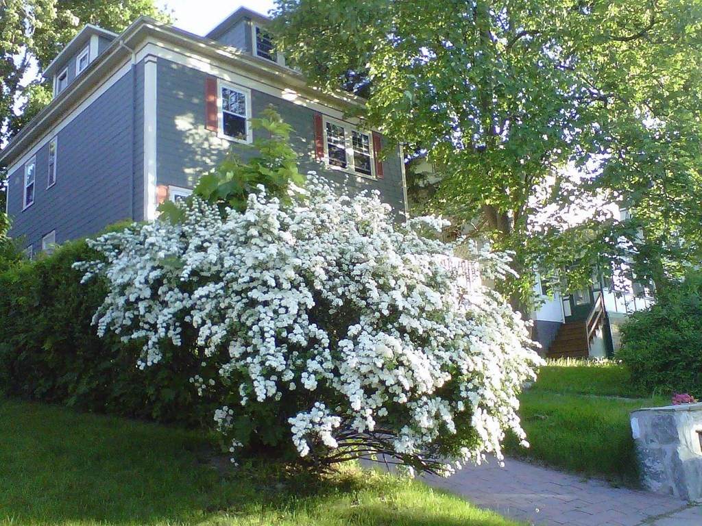 7 Rozella St - Photo 1