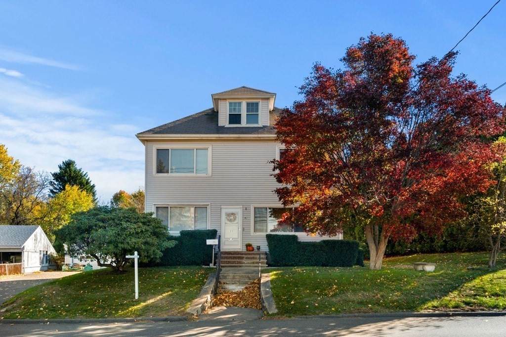 51 Pulaski - Photo 1