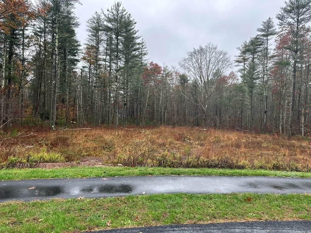 0 White Tail Ln Lot 8 - Photo 1