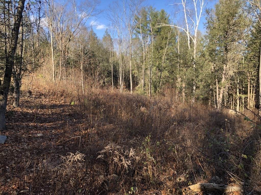0 Potato Hill Road - Photo 1