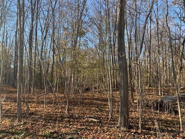 Lot 10 Hill St. - Photo 1