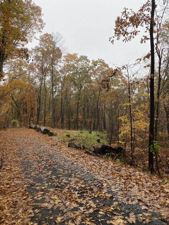 Lot 3A&2R Hollow Road - Photo 1