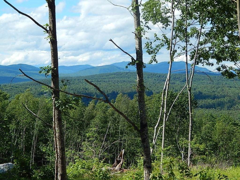 0 White Mountain Highway (Rt 16) - Photo 1
