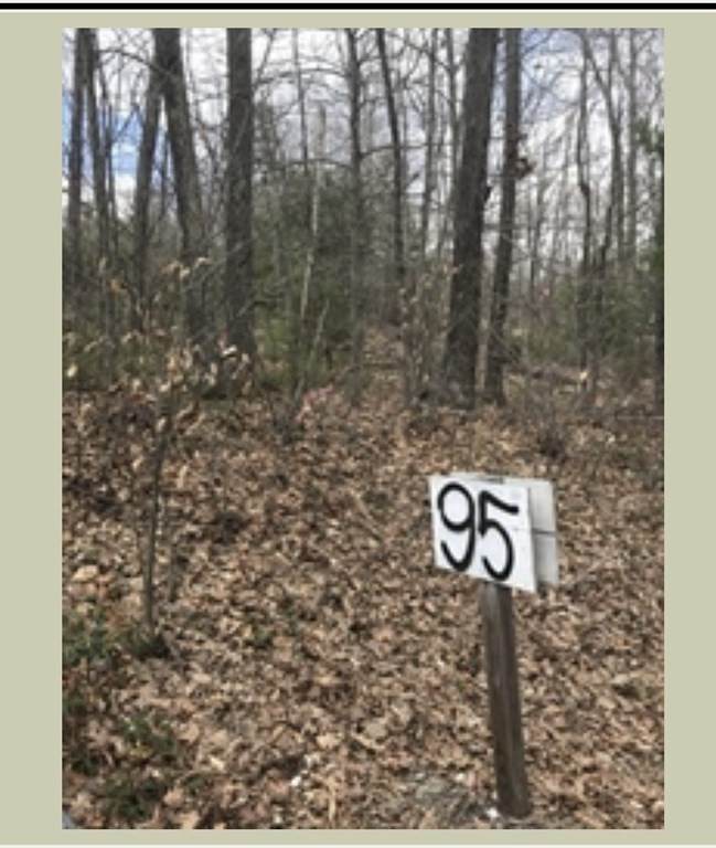95 Leicester St - Photo 1