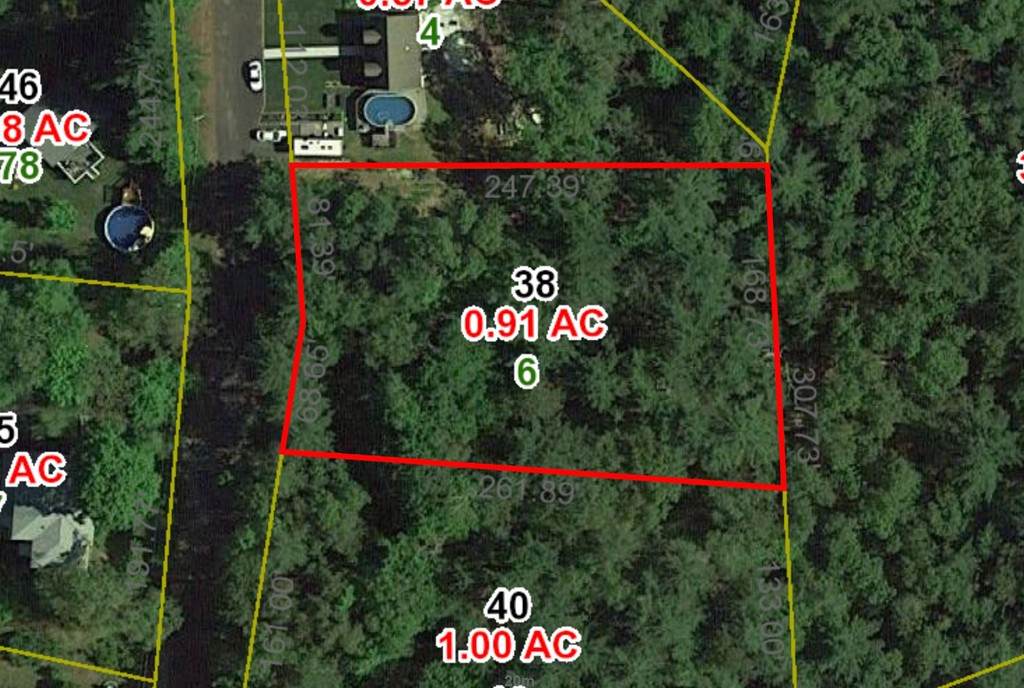 6 Birch Hill Road - Photo 1
