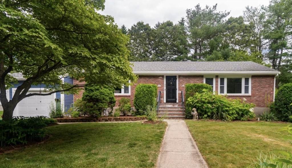 50 Florita Drive - Photo 1