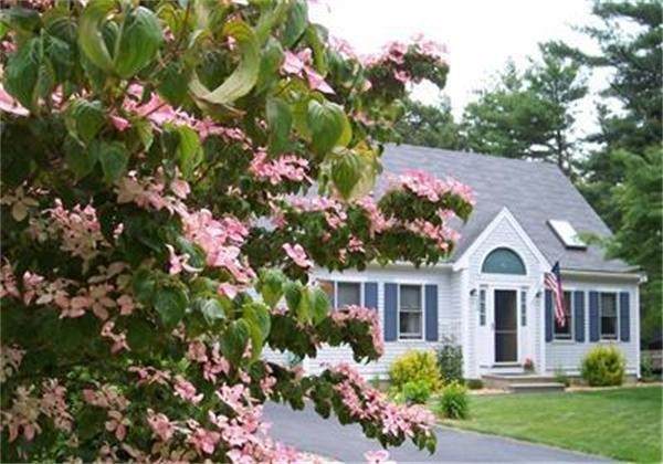 208 Mashpee Neck Rd - Photo 1