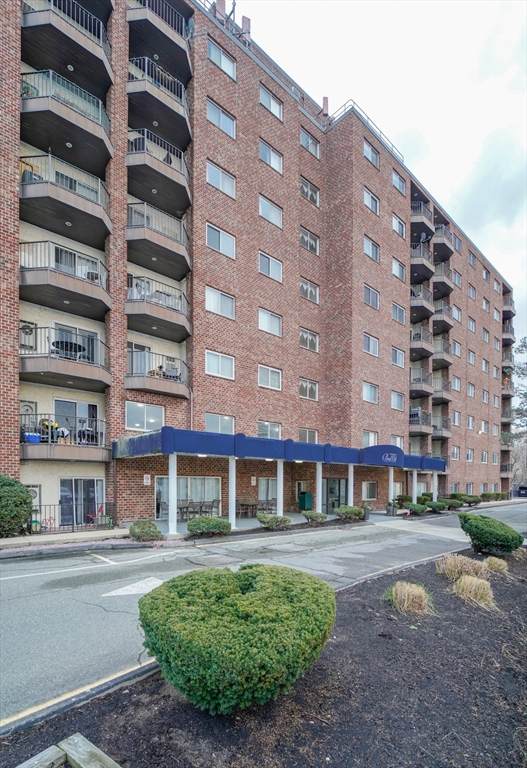 230 Willard St. - Photo 1