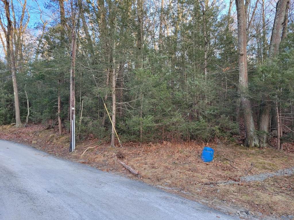 Lot 0 Stevens Park Rd - Photo 1