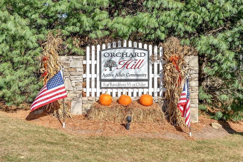 4 Blossom Court - Photo 1