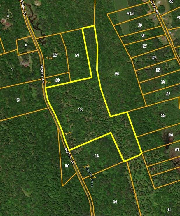 0 Skyline Trail - Photo 1