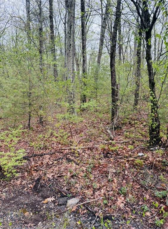 48 Mill Rd Lot 2E - Photo 1