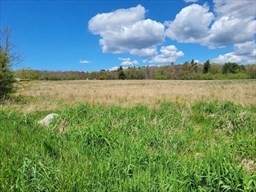 Lot 16-18 Old Fall River Rd - Photo 1