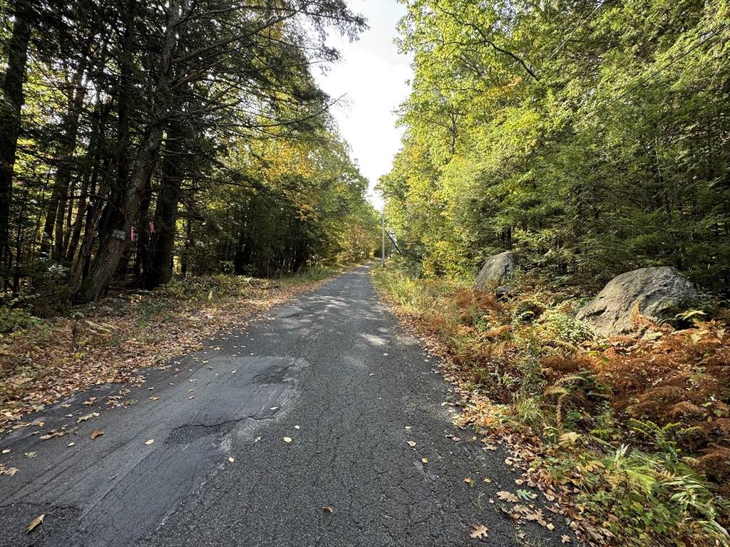 29, 31, 33 Ladd Rd - Photo 1