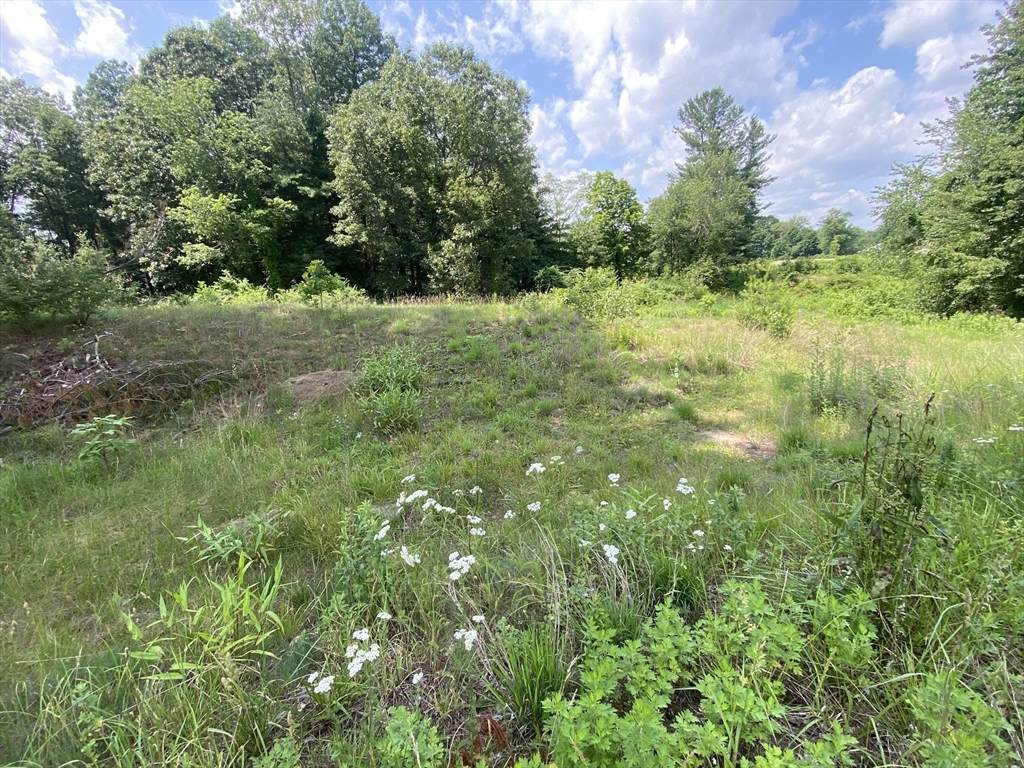 761 College Highway - Photo 1