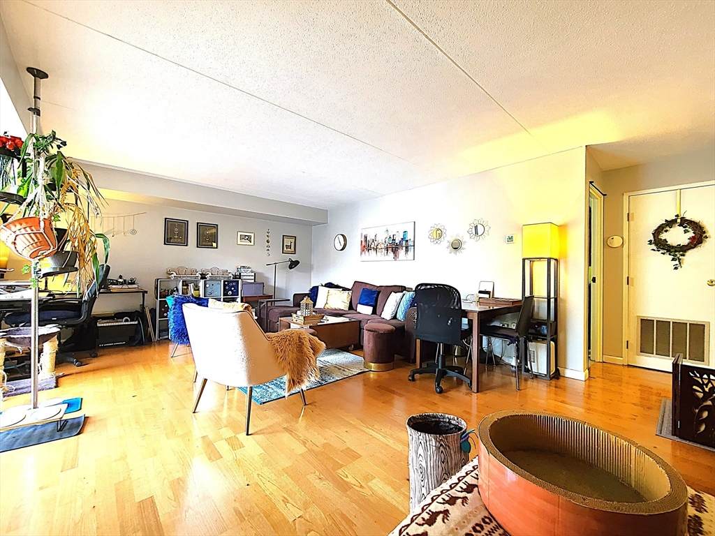 1243 Beacon Street - Photo 1