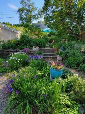 17 Elmira St - Photo 1