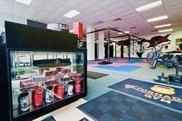 https://bt-photos.global.ssl.fastly.net/mlspin/orig_boomver_1_73399679_2.jpg