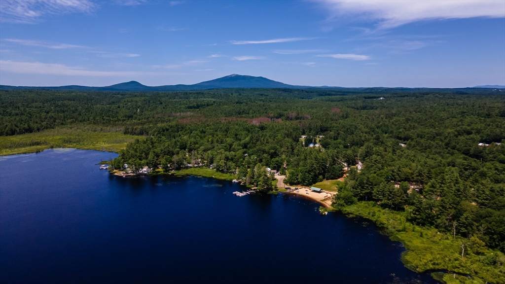 240 Pine Tree Lane - Photo 1