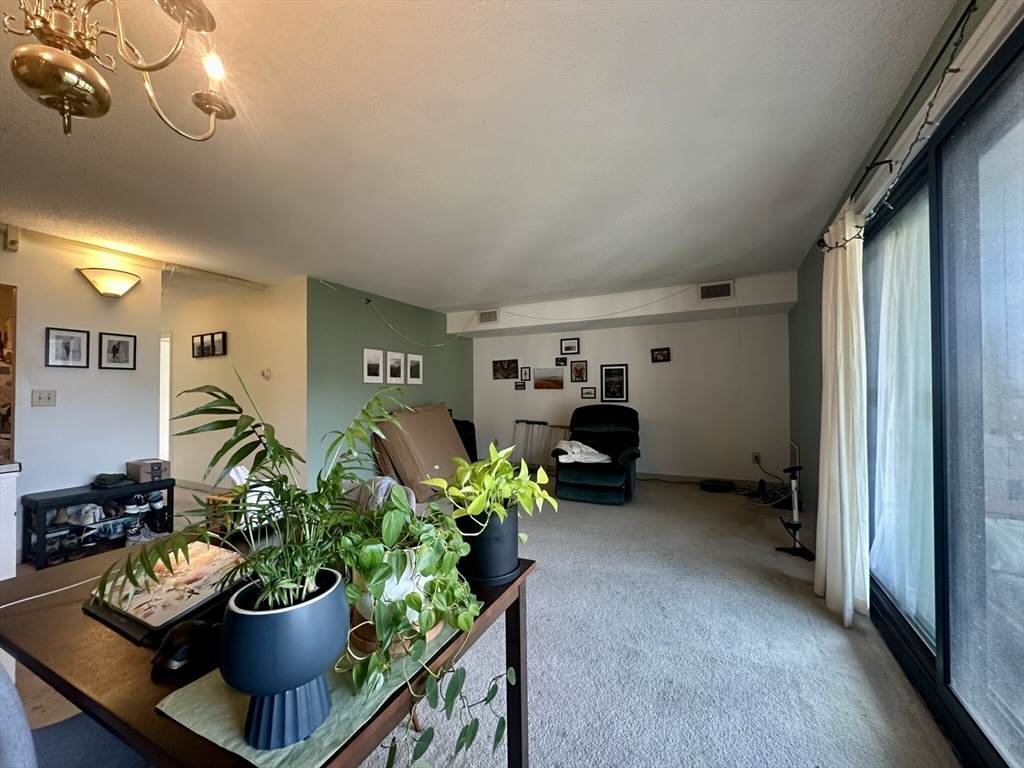 49 Marion Street - Photo 1