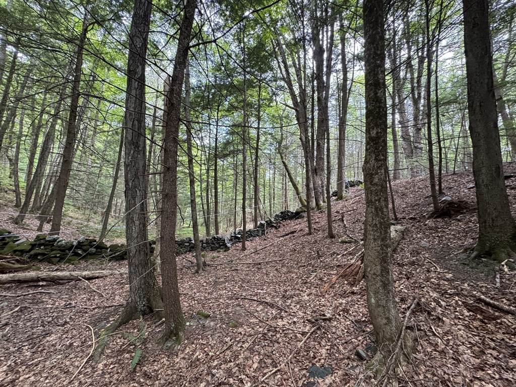 0 North Street - Photo 1