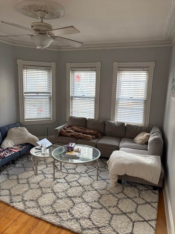 59 Gates St - Photo 1