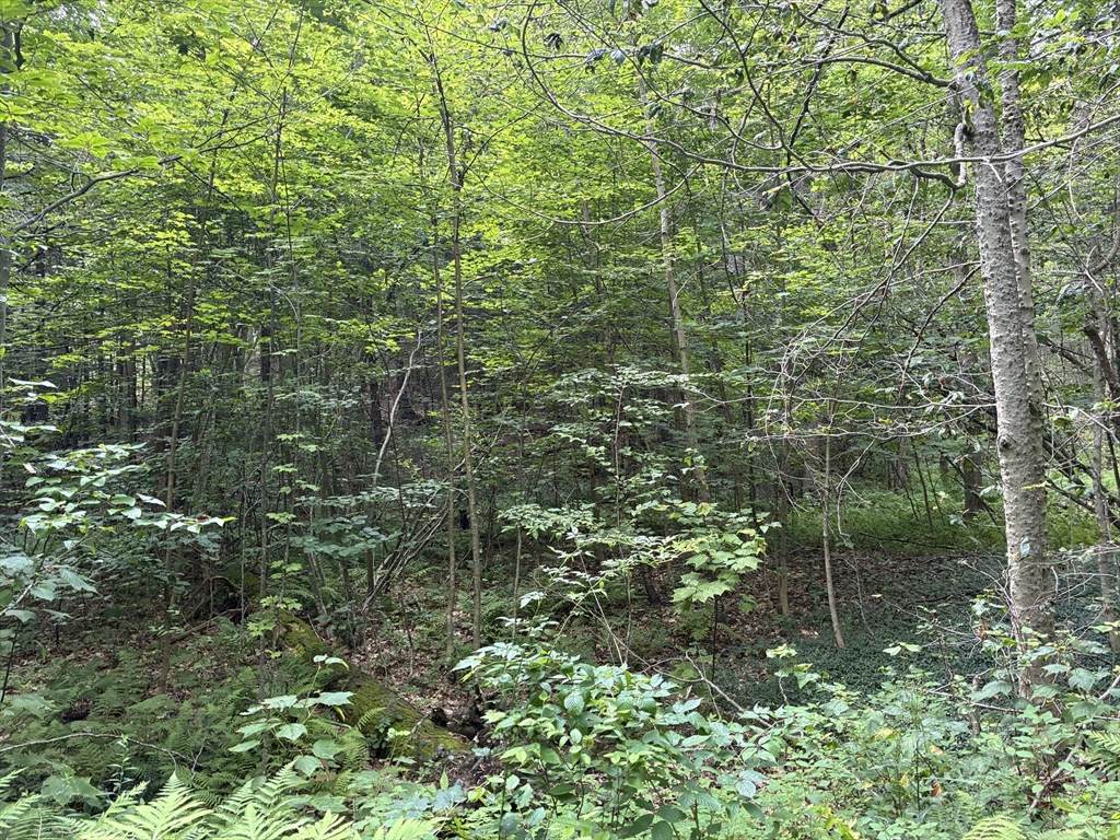 139 Taylor Brook Rd - Photo 1