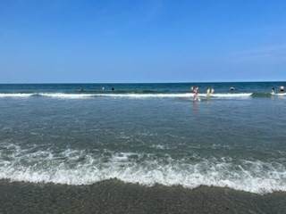 4 Ripley Rd - Photo 1