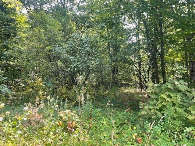 43 Longley Rd - Photo 1