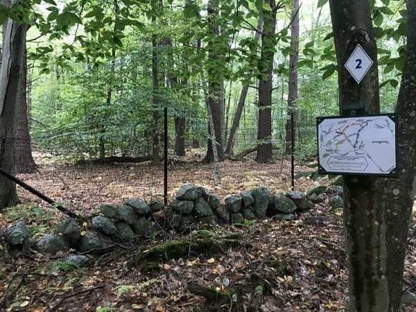 0 Bates Ln (Lot E Kevin's Way) - Photo 1